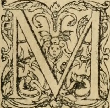 An illustration from Io, 1581, leaf 40