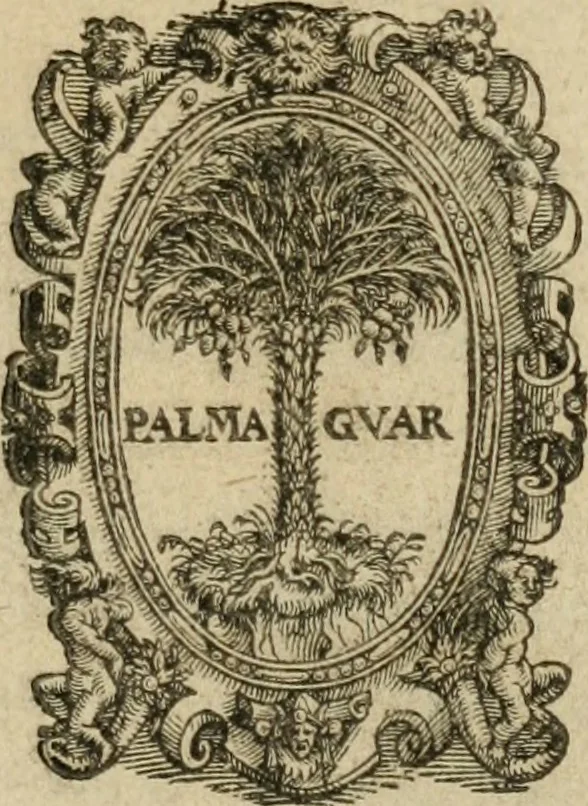 An illustration from Io, 1581, leaf 6