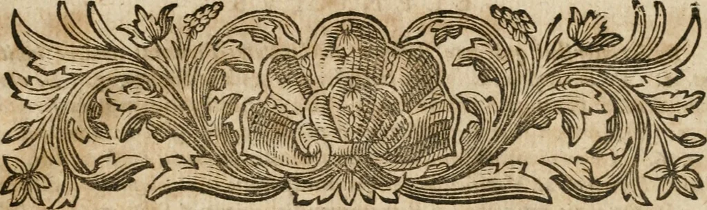 An illustration from Io. Alberti Fabricii ss. theol. d. et prof. pvbl. bibliographia antiqvaria, sive, Introdvctio in notitiam scriptorvm, qvi antiqvitates Hebraicas, Graecas, Romanas et Christianas scriptis illvstrarvnt, 1760, leaf 16