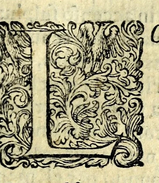 An illustration from Ioan. Baptistae Portae neap. De refractione optices parte, libri nouem, 1593, leaf 195