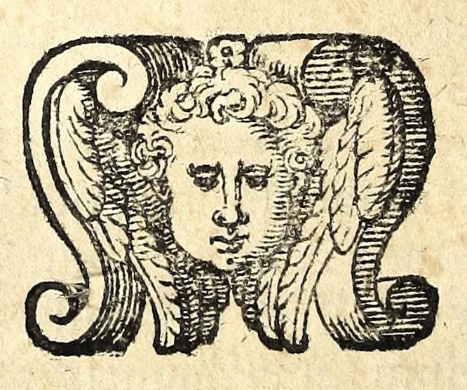 An illustration from Ioan. Baptistae Portae neap. De refractione optices parte, libri nouem, 1593, leaf 40