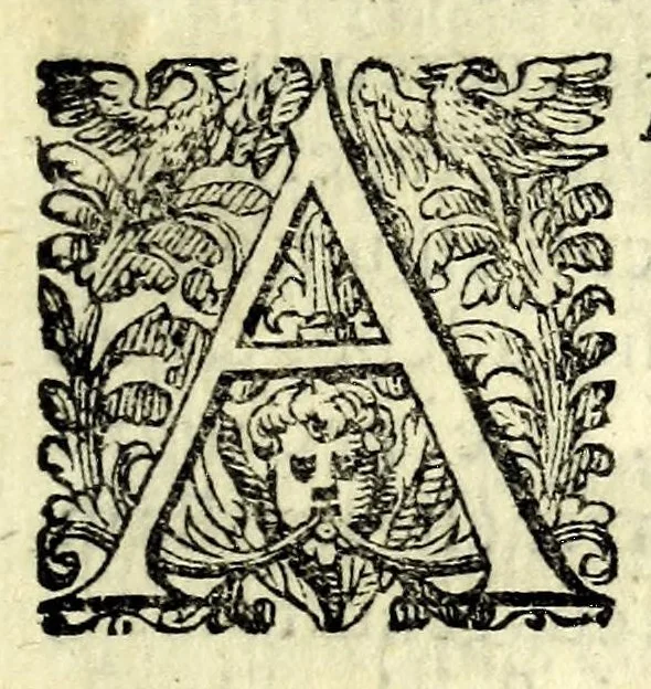 An illustration from Ioan. Baptistae Portae neap. De refractione optices parte, libri nouem, 1593, leaf 71