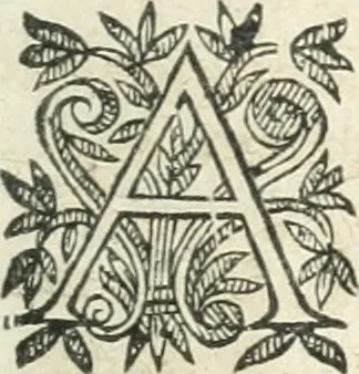 An illustration from Ioan. Garsiae Galleci Tractatvs de expensis et meliorationibvs, cui de nouo accesserunt Ioannis Garsiae a Saabedra Tractatvs qvatvor: I. De donatione remuneratoria, II. De tacito fideicommisso, III. De hypotheca post contractum, IV. De coniugali acquaestu, 1671, leaf 710