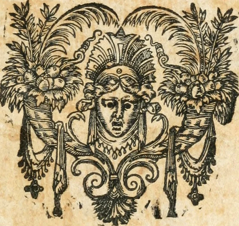 An illustration from Ioan. Garsiae Galleci Tractatvs de expensis et meliorationibvs, cui de nouo accesserunt Ioannis Garsiae a Saabedra Tractatvs qvatvor: I. De donatione remuneratoria, II. De tacito fideicommisso, III. De hypotheca post contractum, IV. De coniugali acquaestu, 1671, leaf 724