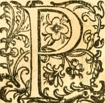 An illustration from Ioan Henrici Alstedii Scientiarum omnium encyclopædiæ : tomus primus [-quartus] ..., 1649, leaf 157