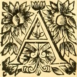 An illustration from Ioan Henrici Alstedii Scientiarum omnium encyclopædiæ : tomus primus [-quartus] ..., 1649, leaf 847