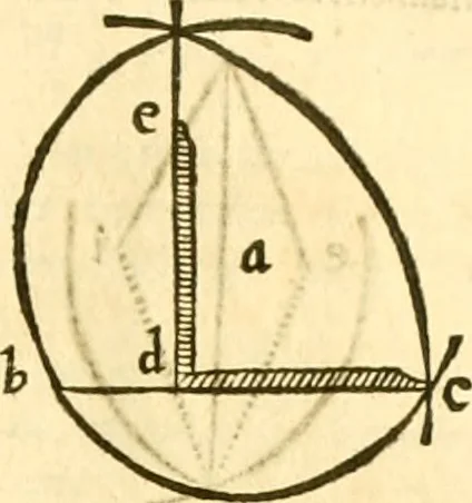 An illustration from Ioan Henrici Alstedii Scientiarum omnium encyclopædiæ : tomus primus [-quartus] ..., 1649, leaf 926
