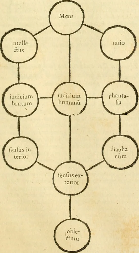 An illustration from Ioan Henrici Alstedii Scientiarum omnium encyclopædiæ : tomus primus [-quartus] ..., 1649, leaf 1052