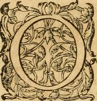 An illustration from Ioan Henrici Alstedii Scientiarum omnium encyclopædiæ : tomus primus [-quartus] ..., 1649, leaf 161