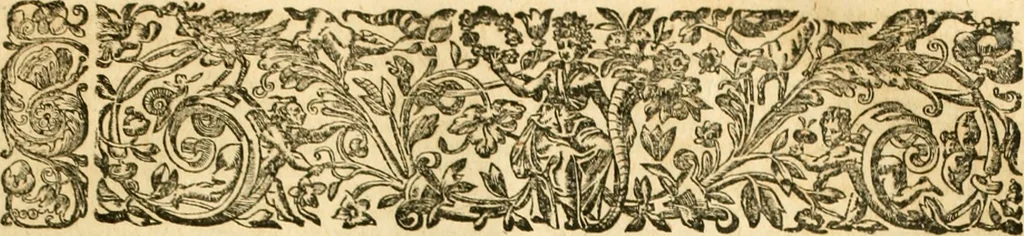 An illustration from Ioan Henrici Alstedii Scientiarum omnium encyclopædiæ : tomus primus [-quartus] ..., 1649, leaf 994