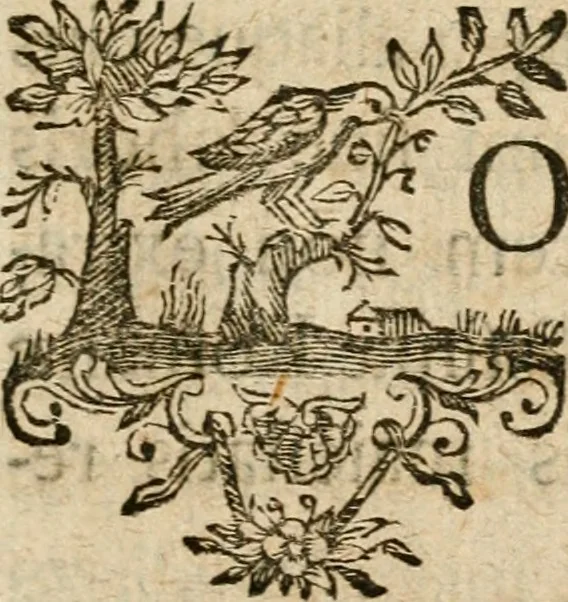 An illustration from Ioann. Ernest. Imm. Walchii ... Antiqvitates Hercvlanenses litterariae : accedit Sylloge inscriptionvm Hercvlanei atqve in eivs confiniis ervtarvm, 1751, leaf 4