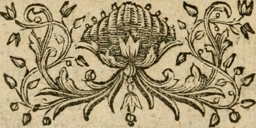 An illustration from Ioann. Ernest. Imm. Walchii ... Antiqvitates Hercvlanenses litterariae : accedit Sylloge inscriptionvm Hercvlanei atqve in eivs confiniis ervtarvm, 1751, leaf 73
