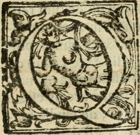 An illustration from Ioannes Baptista Masculi Neapolitani e Societate Iesu De incendio Vesuuii excitato xvij. Kal. Ianuar. anno trigesimo primo saeculi decimoseptimi libri X : cum chronlogia superiorum incendiorum, & ephemeride vltimi, 1633, leaf 12