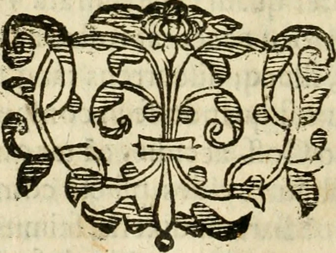 An illustration from Ioannes Baptista Masculi Neapolitani e Societate Iesu De incendio Vesuuii excitato xvij. Kal. Ianuar. anno trigesimo primo saeculi decimoseptimi libri X : cum chronlogia superiorum incendiorum, & ephemeride vltimi, 1633, leaf 129