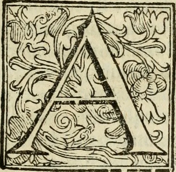 An illustration from Ioannes Baptista Masculi Neapolitani e Societate Iesu De incendio Vesuuii excitato xvij. Kal. Ianuar. anno trigesimo primo saeculi decimoseptimi libri X : cum chronlogia superiorum incendiorum, & ephemeride vltimi, 1633, leaf 130