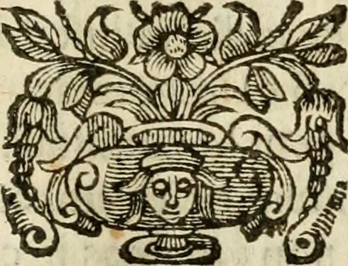 An illustration from Ioannes Baptista Masculi Neapolitani e Societate Iesu De incendio Vesuuii excitato xvij. Kal. Ianuar. anno trigesimo primo saeculi decimoseptimi libri X : cum chronlogia superiorum incendiorum, & ephemeride vltimi, 1633, leaf 164