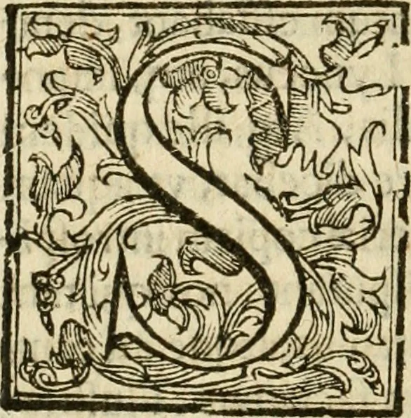 An illustration from Ioannes Baptista Masculi Neapolitani e Societate Iesu De incendio Vesuuii excitato xvij. Kal. Ianuar. anno trigesimo primo saeculi decimoseptimi libri X : cum chronlogia superiorum incendiorum, & ephemeride vltimi, 1633, leaf 165