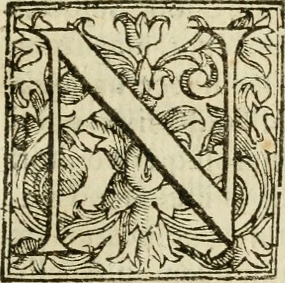 An illustration from Ioannes Baptista Masculi Neapolitani e Societate Iesu De incendio Vesuuii excitato xvij. Kal. Ianuar. anno trigesimo primo saeculi decimoseptimi libri X : cum chronlogia superiorum incendiorum, & ephemeride vltimi, 1633, leaf 196