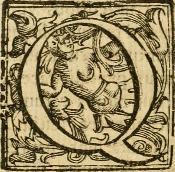 An illustration from Ioannes Baptista Masculi Neapolitani e Societate Iesu De incendio Vesuuii excitato xvij. Kal. Ianuar. anno trigesimo primo saeculi decimoseptimi libri X : cum chronlogia superiorum incendiorum, & ephemeride vltimi, 1633, leaf 221
