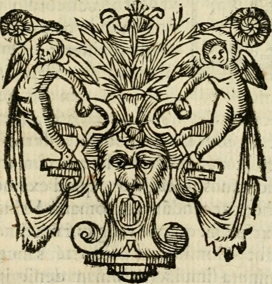 An illustration from Ioannes Baptista Masculi Neapolitani e Societate Iesu De incendio Vesuuii excitato xvij. Kal. Ianuar. anno trigesimo primo saeculi decimoseptimi libri X : cum chronlogia superiorum incendiorum, & ephemeride vltimi, 1633, leaf 246