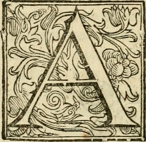 An illustration from Ioannes Baptista Masculi Neapolitani e Societate Iesu De incendio Vesuuii excitato xvij. Kal. Ianuar. anno trigesimo primo saeculi decimoseptimi libri X : cum chronlogia superiorum incendiorum, & ephemeride vltimi, 1633, leaf 247