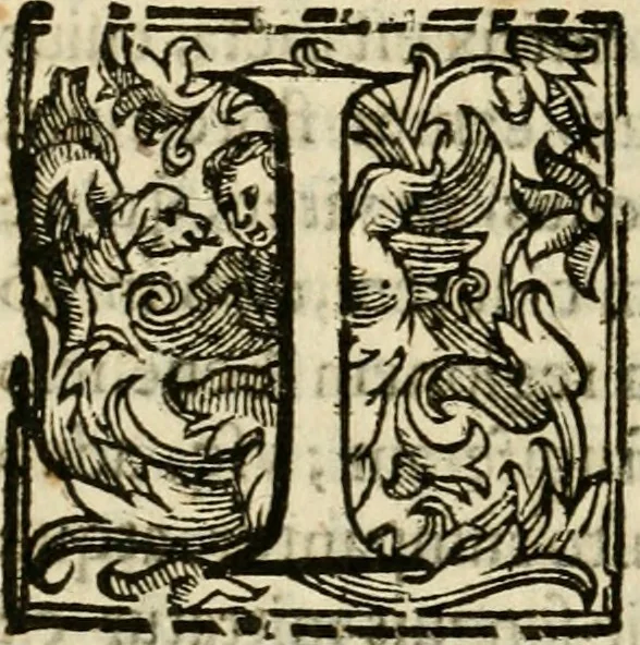 An illustration from Ioannes Baptista Masculi Neapolitani e Societate Iesu De incendio Vesuuii excitato xvij. Kal. Ianuar. anno trigesimo primo saeculi decimoseptimi libri X : cum chronlogia superiorum incendiorum, & ephemeride vltimi, 1633, leaf 281