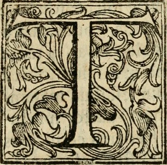 An illustration from Ioannes Baptista Masculi Neapolitani e Societate Iesu De incendio Vesuuii excitato xvij. Kal. Ianuar. anno trigesimo primo saeculi decimoseptimi libri X : cum chronlogia superiorum incendiorum, & ephemeride vltimi, 1633, leaf 300