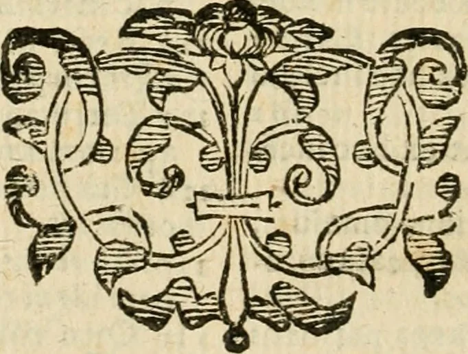 An illustration from Ioannes Baptista Masculi Neapolitani e Societate Iesu De incendio Vesuuii excitato xvij. Kal. Ianuar. anno trigesimo primo saeculi decimoseptimi libri X : cum chronlogia superiorum incendiorum, & ephemeride vltimi, 1633, leaf 365