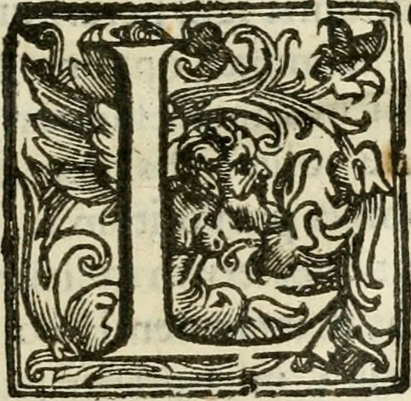 An illustration from Ioannes Baptista Masculi Neapolitani e Societate Iesu De incendio Vesuuii excitato xvij. Kal. Ianuar. anno trigesimo primo saeculi decimoseptimi libri X : cum chronlogia superiorum incendiorum, & ephemeride vltimi, 1633, leaf 48