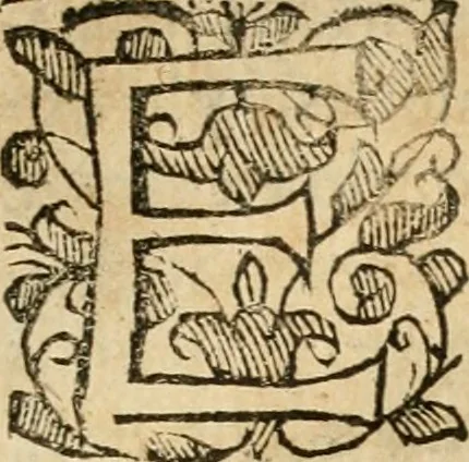 An illustration from Ioannes Baptista Masculi Neapolitani e Societate Iesu De incendio Vesuuii excitato xvij. Kal. Ianuar. anno trigesimo primo saeculi decimoseptimi libri X : cum chronlogia superiorum incendiorum, & ephemeride vltimi, 1633, leaf 6