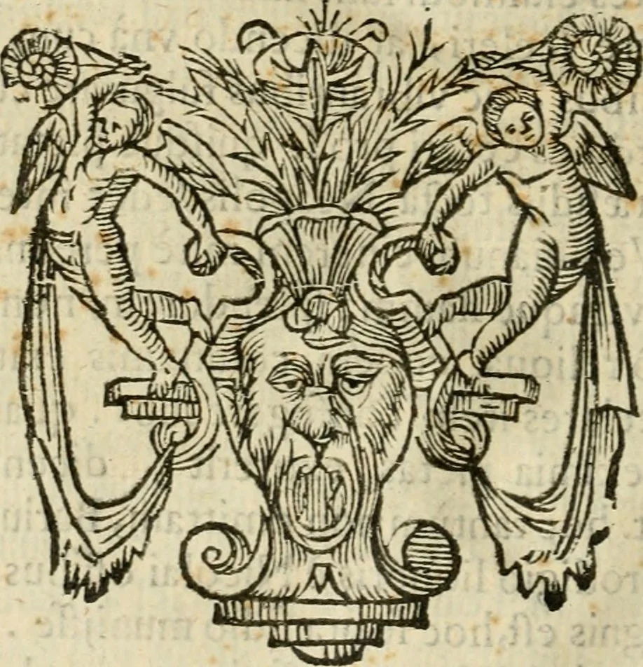 An illustration from Ioannes Baptista Masculi Neapolitani e Societate Iesu De incendio Vesuuii excitato xvij. Kal. Ianuar. anno trigesimo primo saeculi decimoseptimi libri X : cum chronlogia superiorum incendiorum, & ephemeride vltimi, 1633, leaf 79