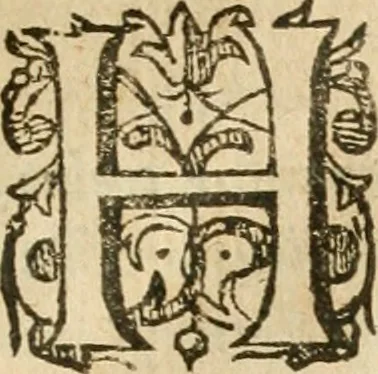 An illustration from Ioannes Baptista Masculi Neapolitani e Societate Iesu De incendio Vesuuii excitato xvij. Kal. Ianuar. anno trigesimo primo saeculi decimoseptimi libri X : cum chronlogia superiorum incendiorum, & ephemeride vltimi, 1633, leaf 8
