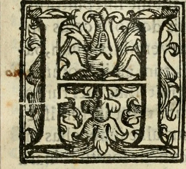 An illustration from Ioannes Baptista Masculi Neapolitani e Societate Iesu De incendio Vesuuii excitato xvij. Kal. Ianuar. anno trigesimo primo saeculi decimoseptimi libri X : cum chronlogia superiorum incendiorum, & ephemeride vltimi, 1633, leaf 80