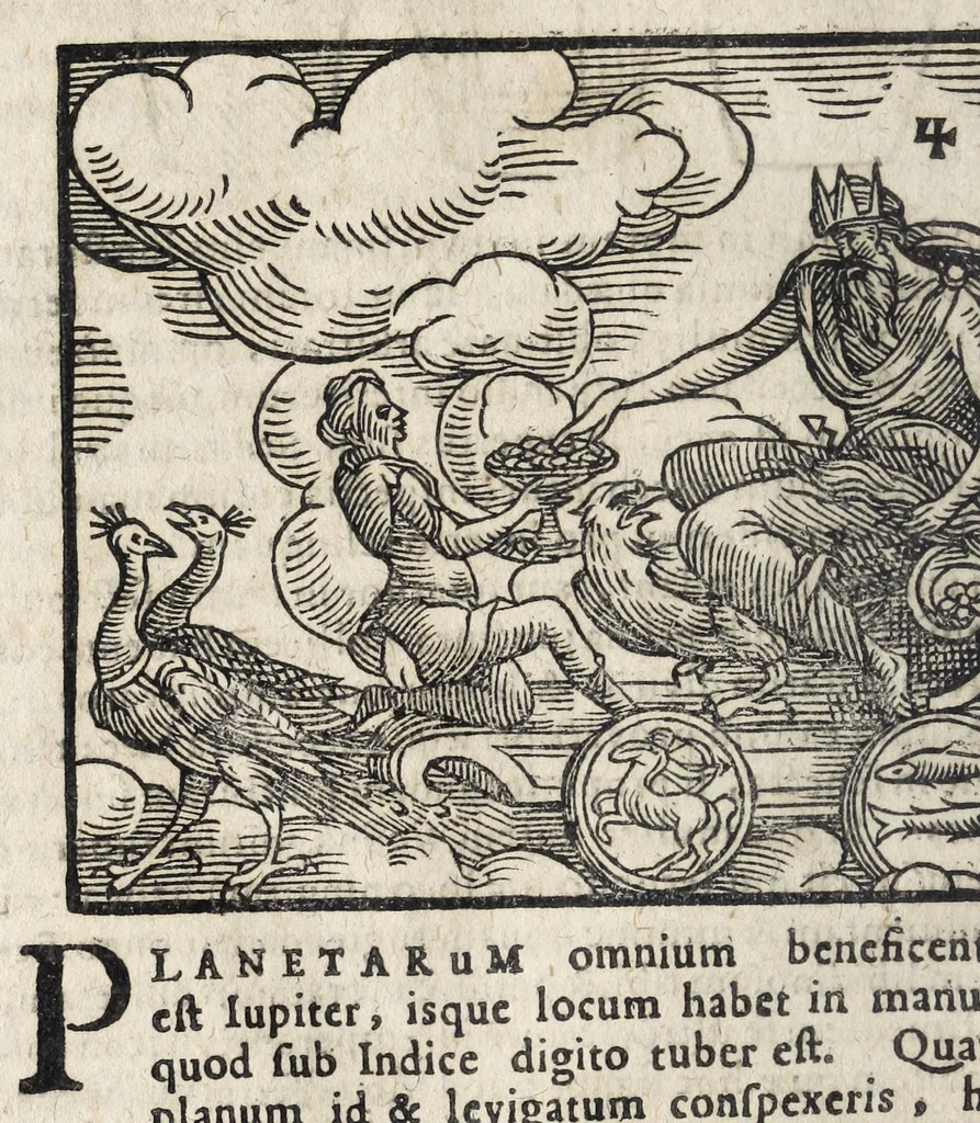 An illustration from Ioannis ab Indagine Introductiones apotelesmaticae in physiognomiam, complexiones hominum, astrologiam naturalem, naturas planetarum : cum periaxiomatibus de faciebus signorum et canonibus de aegritudinibus hominum : omnia nusquam fere eiusmodi tractata compendio .., 1630, leaf 60