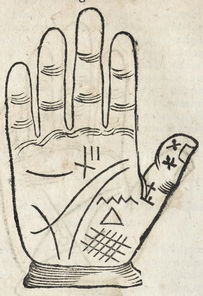 An illustration from Ioannis ab Indagine Introductiones apotelesmaticae in physiognomiam, complexiones hominum, astrologiam naturalem, naturas planetarum : cum periaxiomatibus de faciebus signorum et canonibus de aegritudinibus hominum : omnia nusquam fere eiusmodi tractata compendio .., 1630, leaf 80