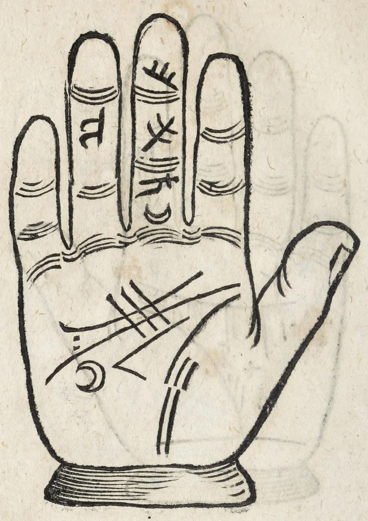 An illustration from Ioannis ab Indagine Introductiones apotelesmaticae in physiognomiam, complexiones hominum, astrologiam naturalem, naturas planetarum : cum periaxiomatibus de faciebus signorum et canonibus de aegritudinibus hominum : omnia nusquam fere eiusmodi tractata compendio .., 1630, leaf 82