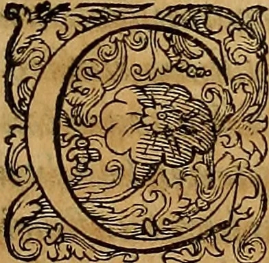An illustration from Ioannis Albini lvcani De gestis regvm Neapo. ab Aragonia qvi extant libri qvatvor, 1589, leaf 146