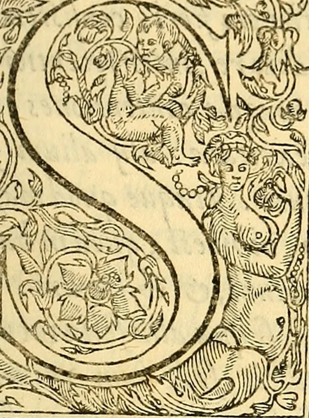 An illustration from Ioannis Argenterii medici De somno et vigilia libri duo : in quibus continentur duae tractationes de calido nativo, et de spiritibus : omnia non solum medicis, sed etiam universis bonarum artium studiosis utilia, & jucunda, atque aliter explicata, quam hactenus fuerint ab aliis tradita, 1556, leaf 12