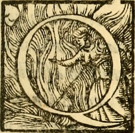 An illustration from Ioannis Argenterii medici De somno et vigilia libri duo : in quibus continentur duae tractationes de calido nativo, et de spiritibus : omnia non solum medicis, sed etiam universis bonarum artium studiosis utilia, & jucunda, atque aliter explicata, quam hactenus fuerint ab aliis tradita, 1556, leaf 134