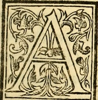 An illustration from Ioannis Argenterii medici De somno et vigilia libri duo : in quibus continentur duae tractationes de calido nativo, et de spiritibus : omnia non solum medicis, sed etiam universis bonarum artium studiosis utilia, & jucunda, atque aliter explicata, quam hactenus fuerint ab aliis tradita, 1556, leaf 16