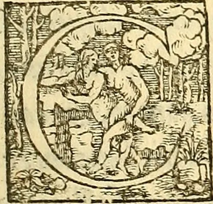 An illustration from Ioannis Argenterii medici De somno et vigilia libri duo : in quibus continentur duae tractationes de calido nativo, et de spiritibus : omnia non solum medicis, sed etiam universis bonarum artium studiosis utilia, & jucunda, atque aliter explicata, quam hactenus fuerint ab aliis tradita, 1556, leaf 190