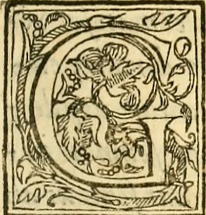 An illustration from Ioannis Argenterii medici De somno et vigilia libri duo : in quibus continentur duae tractationes de calido nativo, et de spiritibus : omnia non solum medicis, sed etiam universis bonarum artium studiosis utilia, & jucunda, atque aliter explicata, quam hactenus fuerint ab aliis tradita, 1556, leaf 204