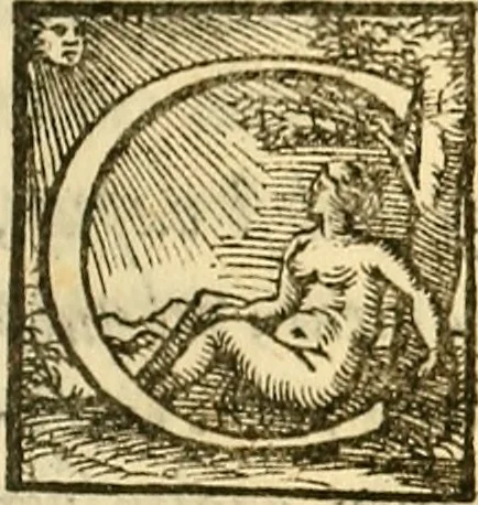 An illustration from Ioannis Argenterii medici De somno et vigilia libri duo : in quibus continentur duae tractationes de calido nativo, et de spiritibus : omnia non solum medicis, sed etiam universis bonarum artium studiosis utilia, & jucunda, atque aliter explicata, quam hactenus fuerint ab aliis tradita, 1556, leaf 208