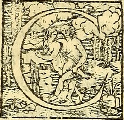 An illustration from Ioannis Argenterii medici De somno et vigilia libri duo : in quibus continentur duae tractationes de calido nativo, et de spiritibus : omnia non solum medicis, sed etiam universis bonarum artium studiosis utilia, & jucunda, atque aliter explicata, quam hactenus fuerint ab aliis tradita, 1556, leaf 209