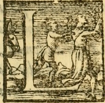 An illustration from Ioannis Argenterii medici De somno et vigilia libri duo : in quibus continentur duae tractationes de calido nativo, et de spiritibus : omnia non solum medicis, sed etiam universis bonarum artium studiosis utilia, & jucunda, atque aliter explicata, quam hactenus fuerint ab aliis tradita, 1556, leaf 214