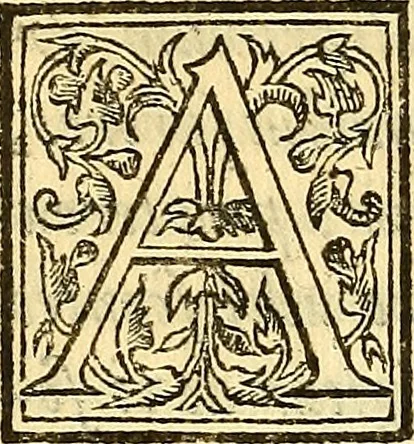 An illustration from Ioannis Argenterii medici De somno et vigilia libri duo : in quibus continentur duae tractationes de calido nativo, et de spiritibus : omnia non solum medicis, sed etiam universis bonarum artium studiosis utilia, & jucunda, atque aliter explicata, quam hactenus fuerint ab aliis tradita, 1556, leaf 235