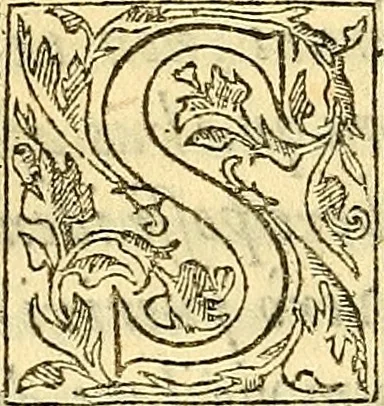 An illustration from Ioannis Argenterii medici De somno et vigilia libri duo : in quibus continentur duae tractationes de calido nativo, et de spiritibus : omnia non solum medicis, sed etiam universis bonarum artium studiosis utilia, & jucunda, atque aliter explicata, quam hactenus fuerint ab aliis tradita, 1556, leaf 239