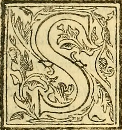 An illustration from Ioannis Argenterii medici De somno et vigilia libri duo : in quibus continentur duae tractationes de calido nativo, et de spiritibus : omnia non solum medicis, sed etiam universis bonarum artium studiosis utilia, & jucunda, atque aliter explicata, quam hactenus fuerint ab aliis tradita, 1556, leaf 284