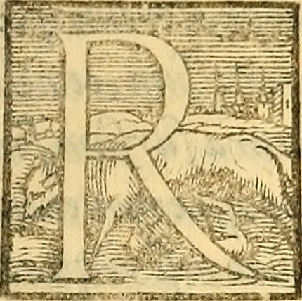 An illustration from Ioannis Argenterii medici De somno et vigilia libri duo : in quibus continentur duae tractationes de calido nativo, et de spiritibus : omnia non solum medicis, sed etiam universis bonarum artium studiosis utilia, & jucunda, atque aliter explicata, quam hactenus fuerint ab aliis tradita, 1556, leaf 324