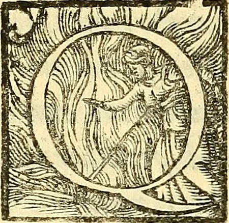 An illustration from Ioannis Argenterii medici De somno et vigilia libri duo : in quibus continentur duae tractationes de calido nativo, et de spiritibus : omnia non solum medicis, sed etiam universis bonarum artium studiosis utilia, & jucunda, atque aliter explicata, quam hactenus fuerint ab aliis tradita, 1556, leaf 339